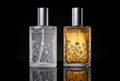 ACT I: Fragrance + Body Elixir